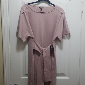Express Pink Dress